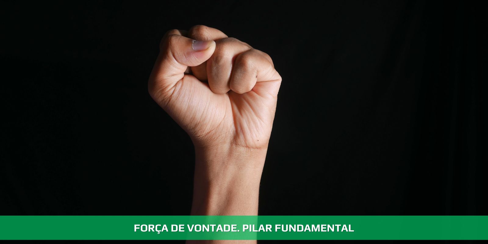 Figura 4 - FORÇA DE VONTADE. O QUE MOVE O MUNDO
